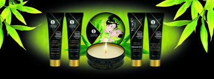 94517 shunga geishas secrets set