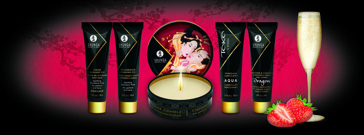 94517 shunga geishas secrets set