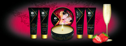 94517 shunga geishas secrets set